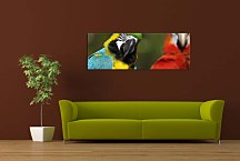 Obrazy Panoráma Zvieratá zs126