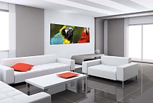 Obrazy Panoráma Zvieratá zs126