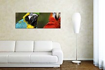 Obrazy Panoráma Zvieratá zs126