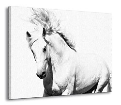 Arabský kôň - Obraz CD0701