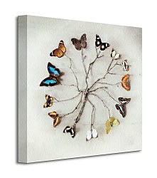 Butterfly Harmony - Obraz WDC95183