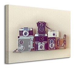 Camera Collection - Obraz WDC94279
