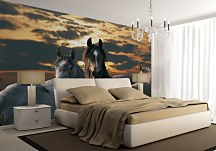 Kone - fototapeta FM0052