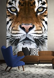 Fototapeta na stenu Tiger FM0228