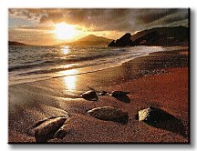 Rafailovichi Beach - Obraz CS0476