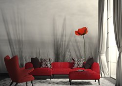 Fototapeta Divý mak FM0029