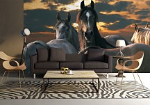 Kone - fototapeta FM0052