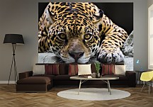 Jaguar - fototapeta FM0225