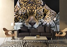 Jaguar - fototapeta FM0225