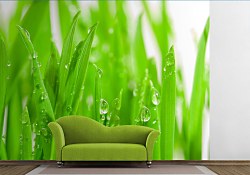 Zelená tapeta Tráva FM0227