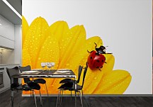 Lienka na žltom kvete - fototapeta FM0297