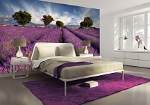 Fototapeta Provence Levandule FM0366