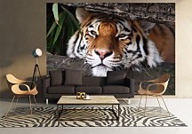 Fototapeta Fauna FM0382