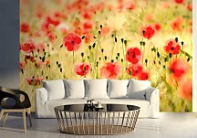 Maky - fototapeta FM0508