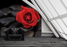 Fototapeta Ruža a kamene FM0511