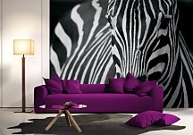 Tapeta vzor Zebra FM0524