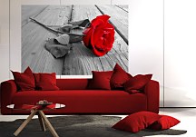 Ruža na dreve - fototapeta FS0046