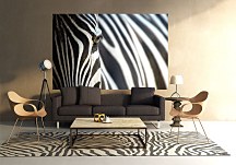 Fototapeta Zebrový vzor FS0063