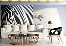 Fototapeta Zebrový vzor FS0063