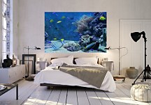 Akvarium - fototapeta FS0083