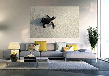 Korytnačka na piesku - fototapeta FS0133