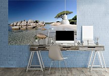 Strom na pláži - fototapeta FS0275