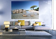 Strom na pláži - fototapeta FS0275