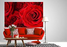 Červená fototapeta Ruže FS0310