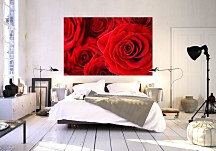 Červená fototapeta Ruže FS0310