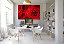 Červená fototapeta Ruže FS0310