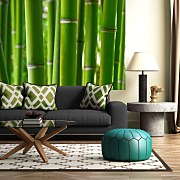 Bambusy - fototapeta FS0391