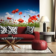 Pole červených makov - fototapeta FS0506