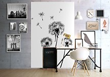 Rozfúkaná púpava - fototapeta FS0526