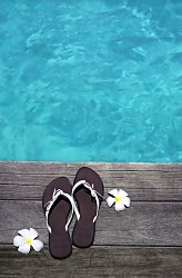 Letná nálada - fototapeta FS0556