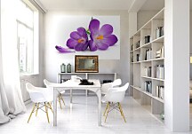 Krokus - fototapeta FS0568