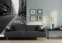 New York, only - fototapeta FS0591