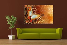 Abstraktny obraz s motýľom zs68461