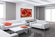 Abstraktný obraz Ruže  zs4239