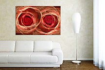 Abstraktný obraz Ruže  zs4239