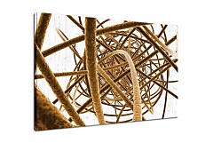 Obraz na stenu ZS - bez pomeru strán