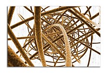 Abstraktný obraz na stenu zs5182