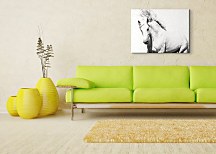 Arabský kôň - Obraz CS0701