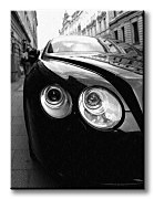 Bentley - Obraz CD0094