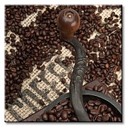 Coffee Beans and Grinder - Obraz CKS0593