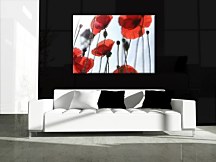 Obraz na stenu Červené maky CS0177