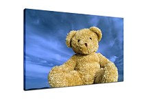 Detský obraz Macko zs6949