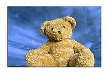 Detský obraz Macko zs6949