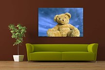 Detský obraz Macko zs6949