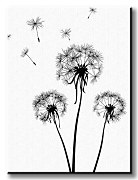 Púpava - Obraz CS0526