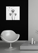 Púpavy - Obraz CKS0526